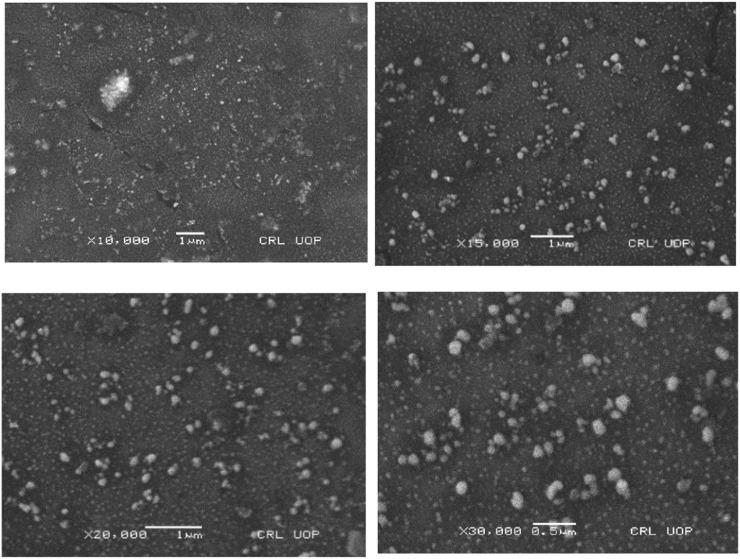 https://cdn.ncbi.nlm.nih.gov/pmc/blobs/c5dd/12372591/d774766233e9/fchem-13-1555449-g010.jpg