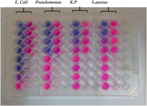 https://cdn.ncbi.nlm.nih.gov/pmc/blobs/c5dd/12372591/d92a48460911/fchem-13-1555449-g013.jpg