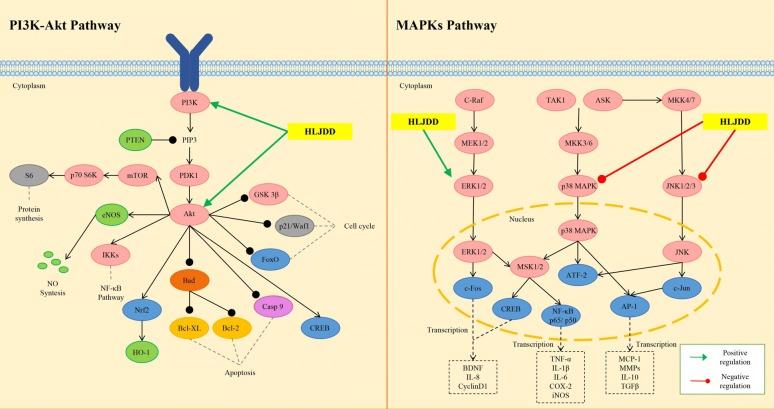 https://cdn.ncbi.nlm.nih.gov/pmc/blobs/c5de/6918586/36153cc8122e/13020_2019_277_Fig7_HTML.jpg