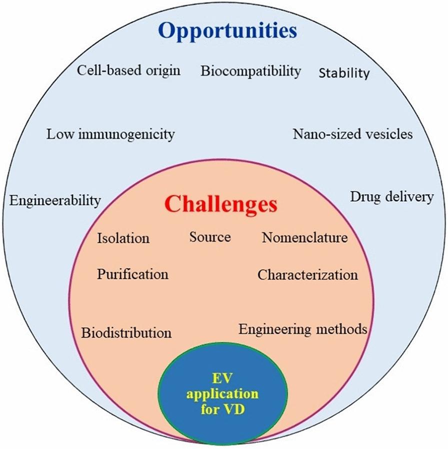 https://cdn.ncbi.nlm.nih.gov/pmc/blobs/c5df/12210656/f14b779d9f54/40001_2025_2822_Fig3_HTML.jpg