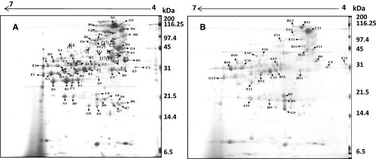 https://cdn.ncbi.nlm.nih.gov/pmc/blobs/c5df/7904509/4d169d7a84c3/10529_2021_3091_Fig1_HTML.jpg