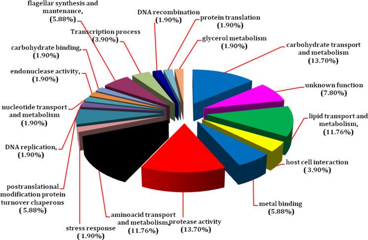 https://cdn.ncbi.nlm.nih.gov/pmc/blobs/c5df/7904509/70b0ac260906/10529_2021_3091_Fig2_HTML.jpg