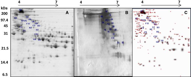 https://cdn.ncbi.nlm.nih.gov/pmc/blobs/c5df/7904509/fb6408232772/10529_2021_3091_Fig3_HTML.jpg