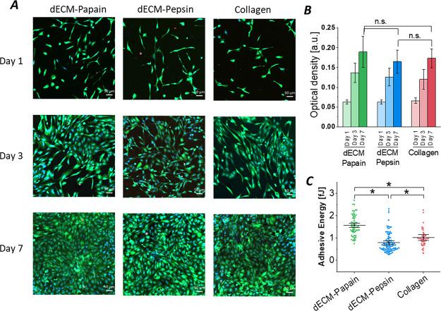 https://cdn.ncbi.nlm.nih.gov/pmc/blobs/c5e1/10716854/bb6abef57d68/bm3c00602_0008.jpg