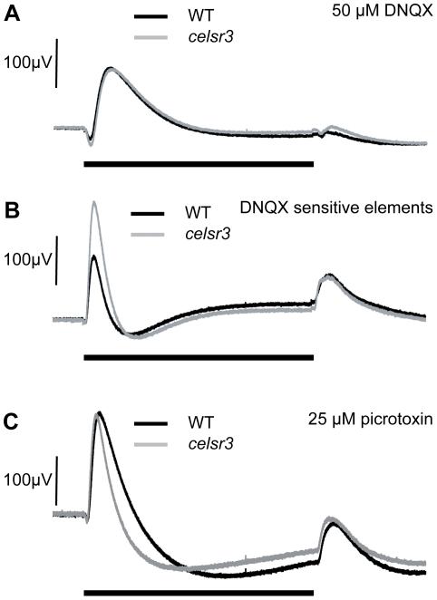 https://cdn.ncbi.nlm.nih.gov/pmc/blobs/c5e1/3154962/e49696e13a28/pgen.1002239.g006.jpg