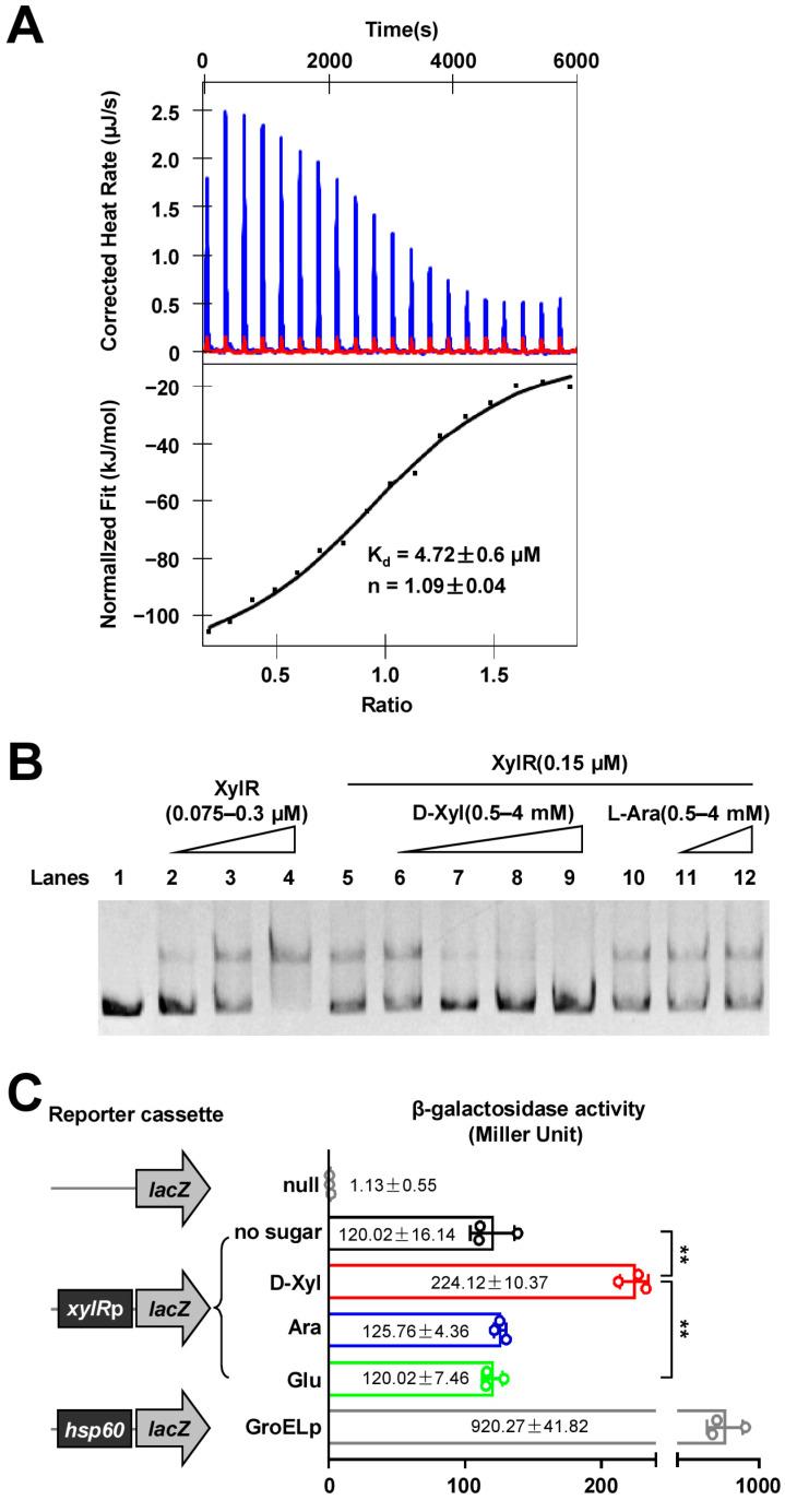 https://cdn.ncbi.nlm.nih.gov/pmc/blobs/c5e2/10138657/ae75fb8e9cf0/ijms-24-07086-g002.jpg