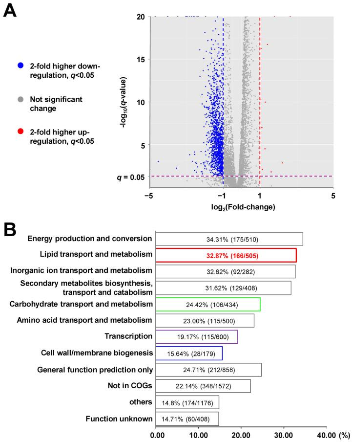 https://cdn.ncbi.nlm.nih.gov/pmc/blobs/c5e2/10138657/d0d56eaed6c6/ijms-24-07086-g003.jpg