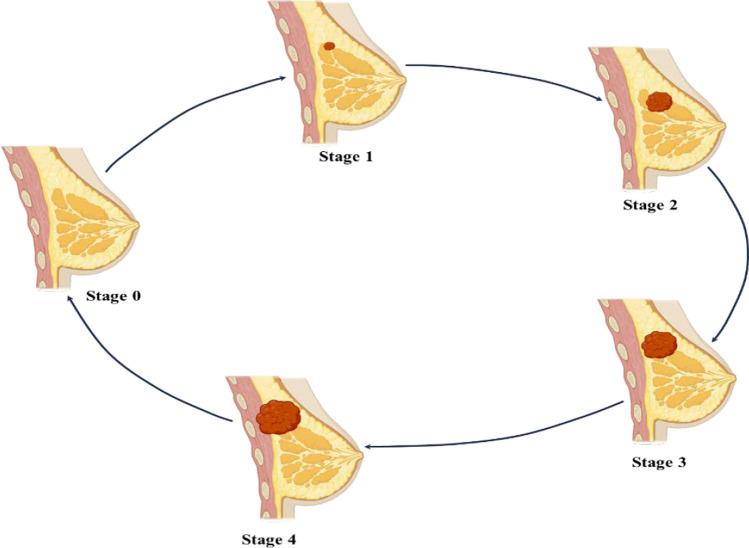 https://cdn.ncbi.nlm.nih.gov/pmc/blobs/c5e4/11380656/5e5292c869a5/11671_2024_4086_Fig1_HTML.jpg