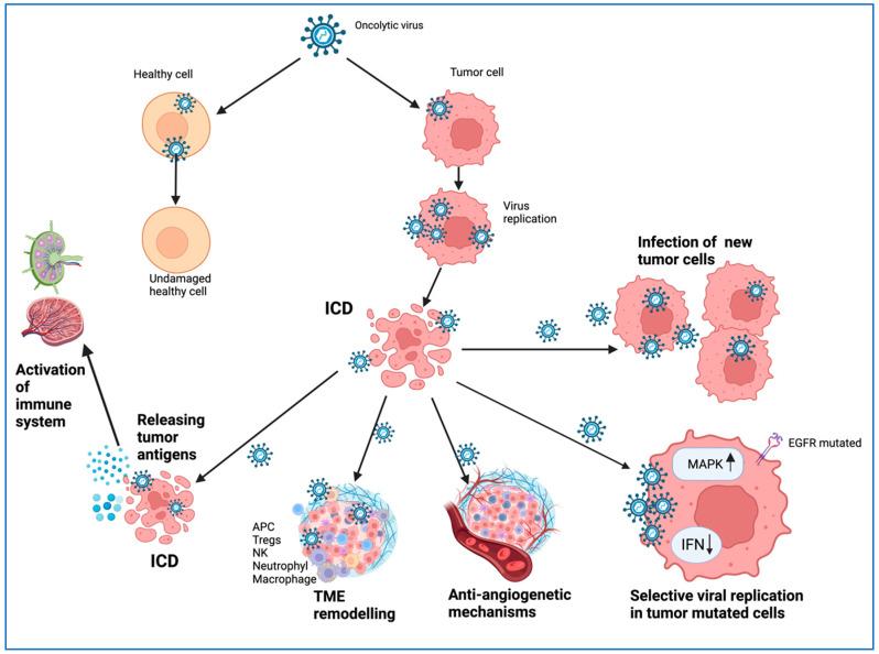 https://cdn.ncbi.nlm.nih.gov/pmc/blobs/c5e5/10816814/23e792525bc3/ijms-25-01180-g001.jpg