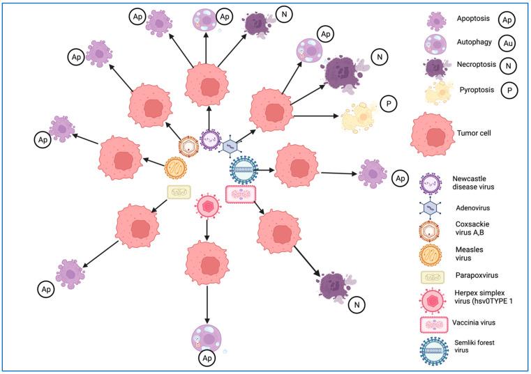 https://cdn.ncbi.nlm.nih.gov/pmc/blobs/c5e5/10816814/3d40d7155b54/ijms-25-01180-g005.jpg