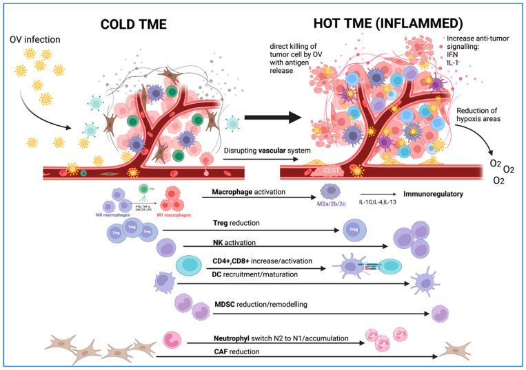 https://cdn.ncbi.nlm.nih.gov/pmc/blobs/c5e5/10816814/40b89b25ff5b/ijms-25-01180-g003.jpg