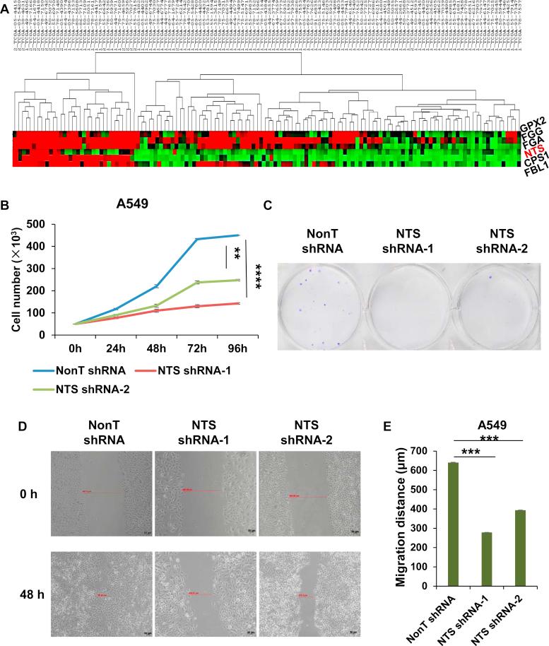 https://cdn.ncbi.nlm.nih.gov/pmc/blobs/c5e5/7949158/208c0be56655/gr3.jpg