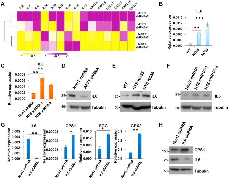 https://cdn.ncbi.nlm.nih.gov/pmc/blobs/c5e5/7949158/38522e77314a/gr5.jpg