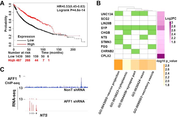 https://cdn.ncbi.nlm.nih.gov/pmc/blobs/c5e5/7949158/9497c3b2df63/gr1.jpg