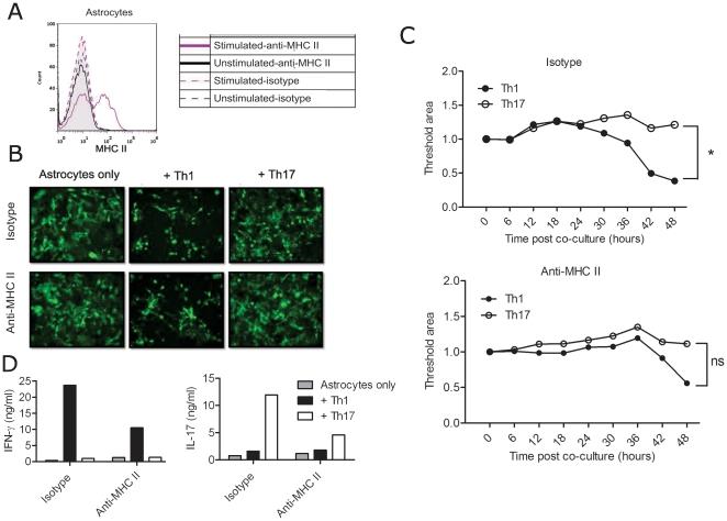 https://cdn.ncbi.nlm.nih.gov/pmc/blobs/c5e6/3000428/2918a72ae925/pone.0015531.g006.jpg