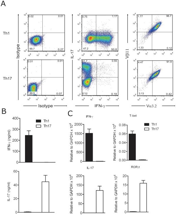 https://cdn.ncbi.nlm.nih.gov/pmc/blobs/c5e6/3000428/c2bbc1ca9b0f/pone.0015531.g001.jpg