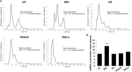 https://cdn.ncbi.nlm.nih.gov/pmc/blobs/c5ea/12025883/13cad6ae8de3/JEX2-4-e70047-g001.jpg
