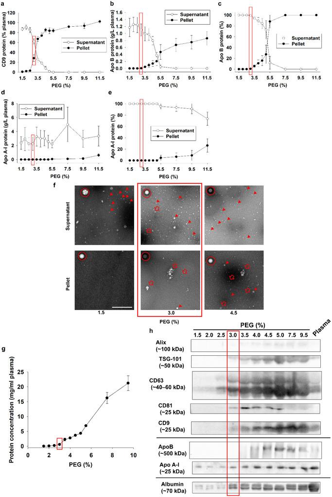 https://cdn.ncbi.nlm.nih.gov/pmc/blobs/c5ea/12025883/84b3fc0b2b5b/JEX2-4-e70047-g002.jpg