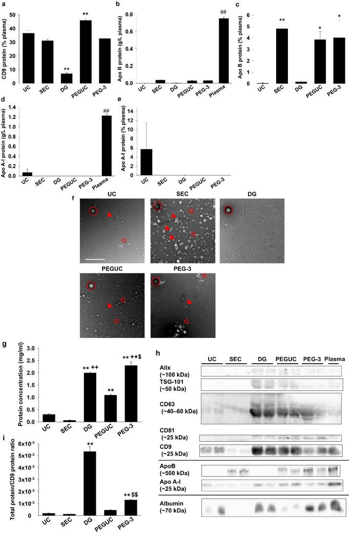 https://cdn.ncbi.nlm.nih.gov/pmc/blobs/c5ea/12025883/fa570f9c286d/JEX2-4-e70047-g005.jpg
