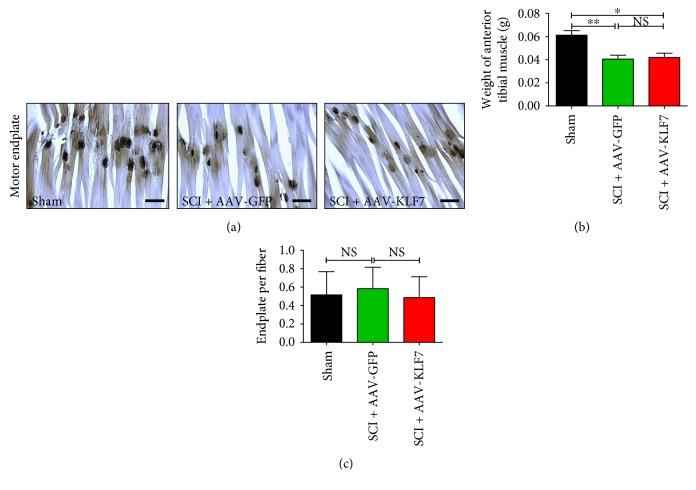 https://cdn.ncbi.nlm.nih.gov/pmc/blobs/c5ea/5572611/14f2f3864961/NP2017-1621629.013.jpg