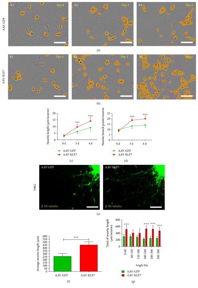 https://cdn.ncbi.nlm.nih.gov/pmc/blobs/c5ea/5572611/e3ce412ebe6a/NP2017-1621629.004.jpg