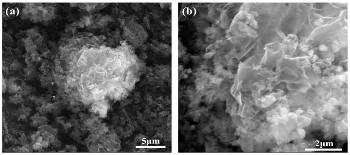 https://cdn.ncbi.nlm.nih.gov/pmc/blobs/c5eb/11357619/f5718f790df4/molecules-29-03871-g004.jpg
