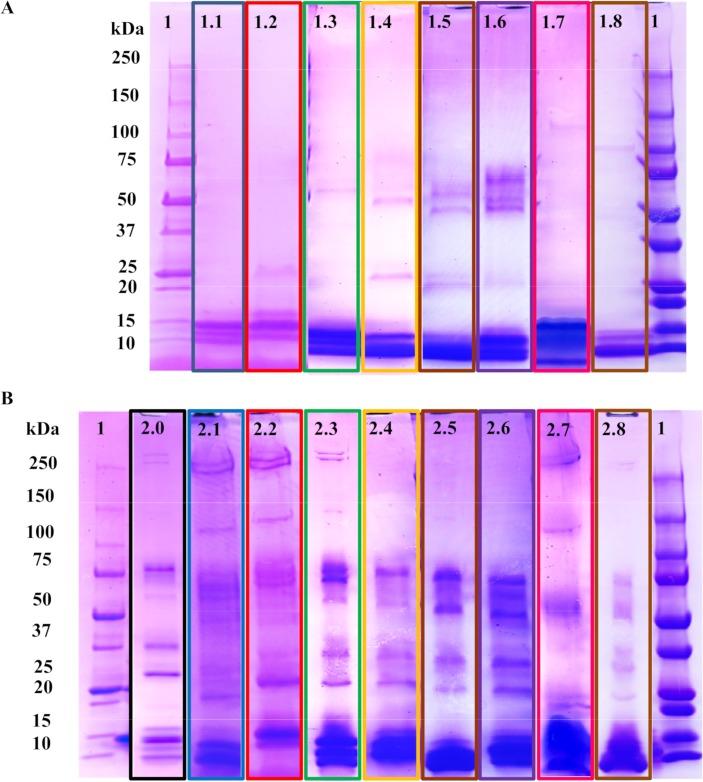 https://cdn.ncbi.nlm.nih.gov/pmc/blobs/c5eb/6171825/4c57807aa7b9/pntd.0006736.g003.jpg