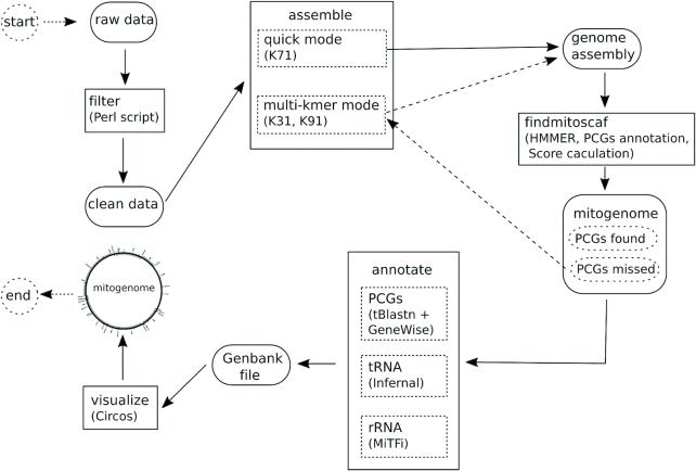 https://cdn.ncbi.nlm.nih.gov/pmc/blobs/c5eb/6582343/d9bceb173249/gkz173fig1.jpg