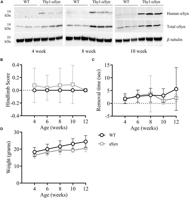 https://cdn.ncbi.nlm.nih.gov/pmc/blobs/c5ec/6693556/8d46d71be0d6/fnins-13-00839-g002.jpg