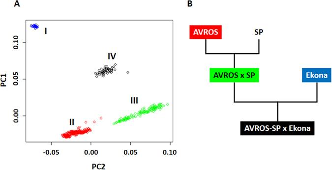 https://cdn.ncbi.nlm.nih.gov/pmc/blobs/c5ef/5465187/c560e636bf28/41598_2017_3225_Fig1_HTML.jpg