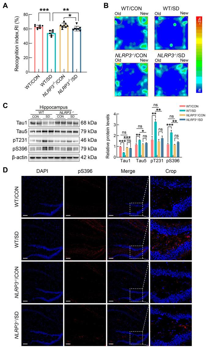 https://cdn.ncbi.nlm.nih.gov/pmc/blobs/c5f3/11298670/8752a4b986a1/zr-45-4-857-6-1.jpg