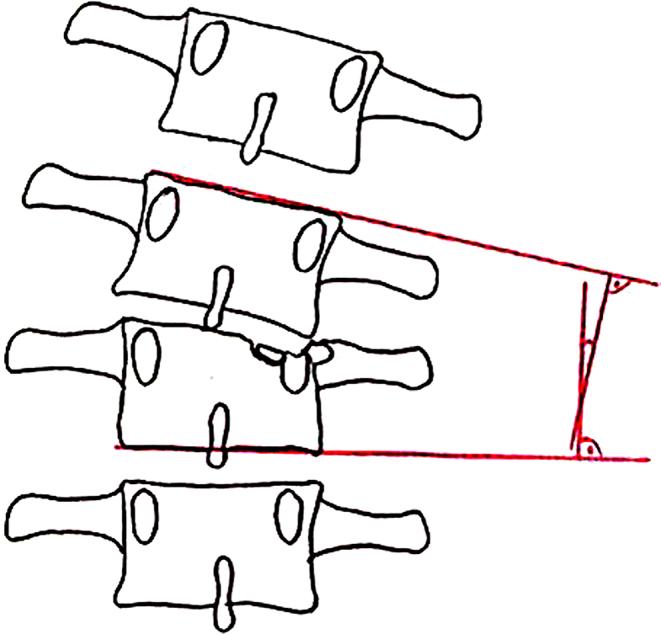 https://cdn.ncbi.nlm.nih.gov/pmc/blobs/c5f3/11599295/9ad1de539823/68_2024_2619_Fig2_HTML.jpg