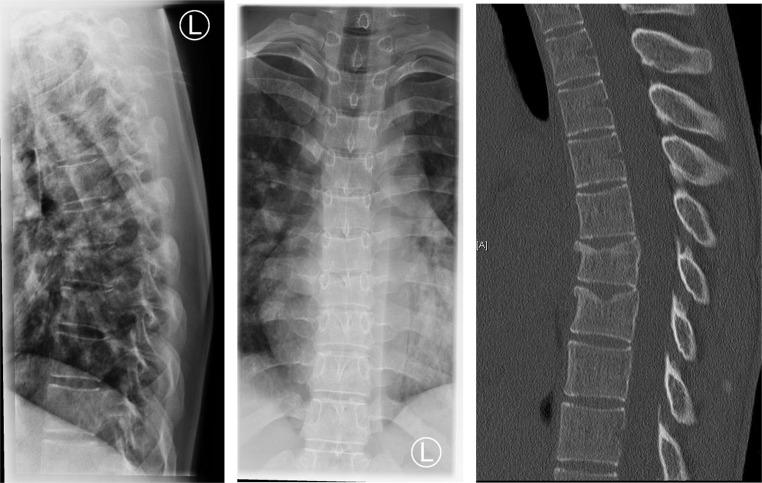 https://cdn.ncbi.nlm.nih.gov/pmc/blobs/c5f3/11599295/c0b502d06926/68_2024_2619_Fig5_HTML.jpg