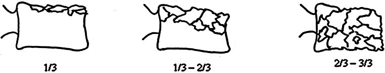 https://cdn.ncbi.nlm.nih.gov/pmc/blobs/c5f3/11599295/cb5f7b4e93ea/68_2024_2619_Fig3_HTML.jpg