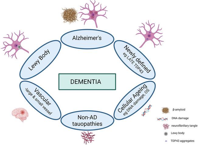 https://cdn.ncbi.nlm.nih.gov/pmc/blobs/c5f4/10946587/26d52bfbee02/NAN-49-0-g006.jpg