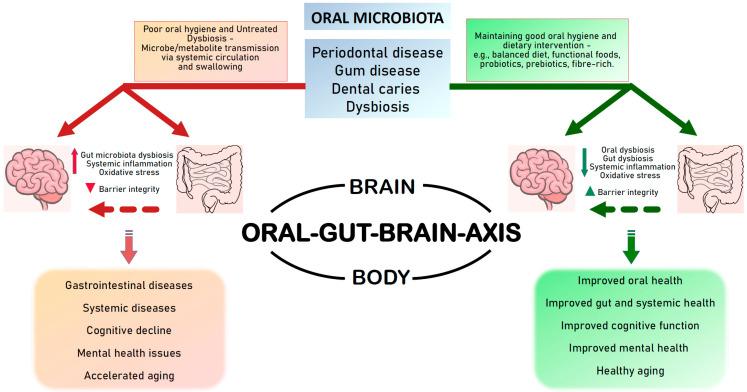 https://cdn.ncbi.nlm.nih.gov/pmc/blobs/c5f7/11435118/355ff060f623/nutrients-16-03206-g001.jpg