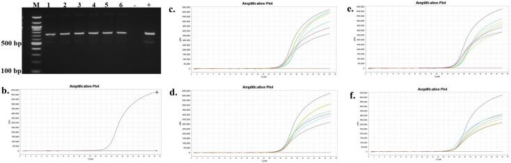 https://cdn.ncbi.nlm.nih.gov/pmc/blobs/c5f8/12054098/ecd9bbbc8ed0/spectrum.03054-24.f008.jpg