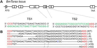 https://cdn.ncbi.nlm.nih.gov/pmc/blobs/c5fa/9291747/0b5107ada5fd/INS-28-1582-g002.jpg