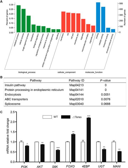 https://cdn.ncbi.nlm.nih.gov/pmc/blobs/c5fa/9291747/af216029c597/INS-28-1582-g001.jpg