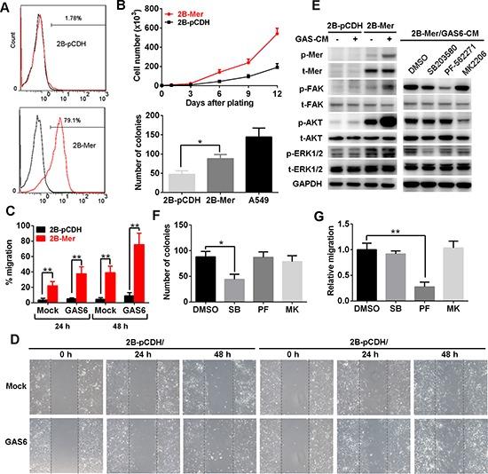 https://cdn.ncbi.nlm.nih.gov/pmc/blobs/c5fc/4496212/b8dd80d1bf65/oncotarget-06-9206-g004.jpg