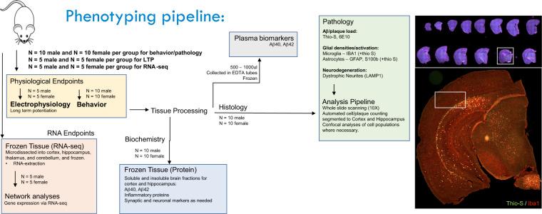 https://cdn.ncbi.nlm.nih.gov/pmc/blobs/c5fd/8519958/20a557f87669/41597_2021_1054_Fig1_HTML.jpg