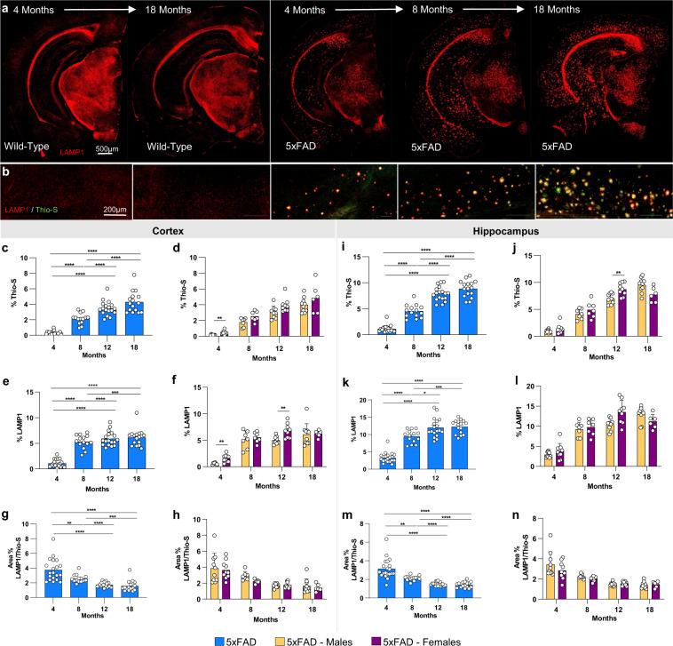 https://cdn.ncbi.nlm.nih.gov/pmc/blobs/c5fd/8519958/651dfc3773da/41597_2021_1054_Fig7_HTML.jpg