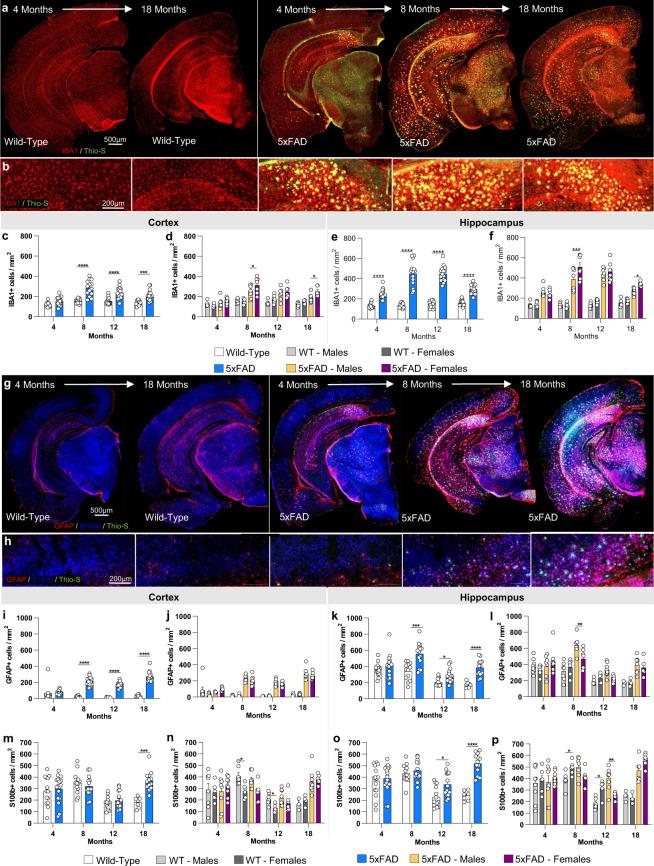 https://cdn.ncbi.nlm.nih.gov/pmc/blobs/c5fd/8519958/d925ba7f3e6e/41597_2021_1054_Fig6_HTML.jpg