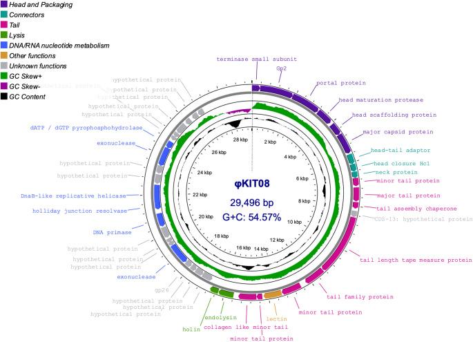 https://cdn.ncbi.nlm.nih.gov/pmc/blobs/c601/12426086/1e7c15dd73eb/203_2025_4451_Fig6_HTML.jpg
