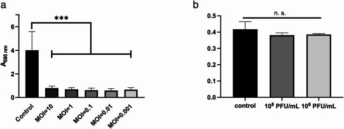 https://cdn.ncbi.nlm.nih.gov/pmc/blobs/c601/12426086/716adb13ca4e/203_2025_4451_Fig5_HTML.jpg