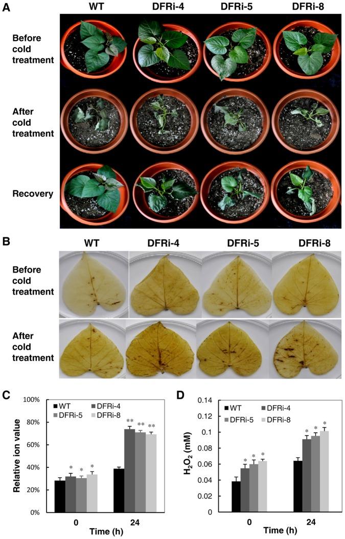 https://cdn.ncbi.nlm.nih.gov/pmc/blobs/c603/3817210/7311b9246ef4/pone.0078484.g007.jpg