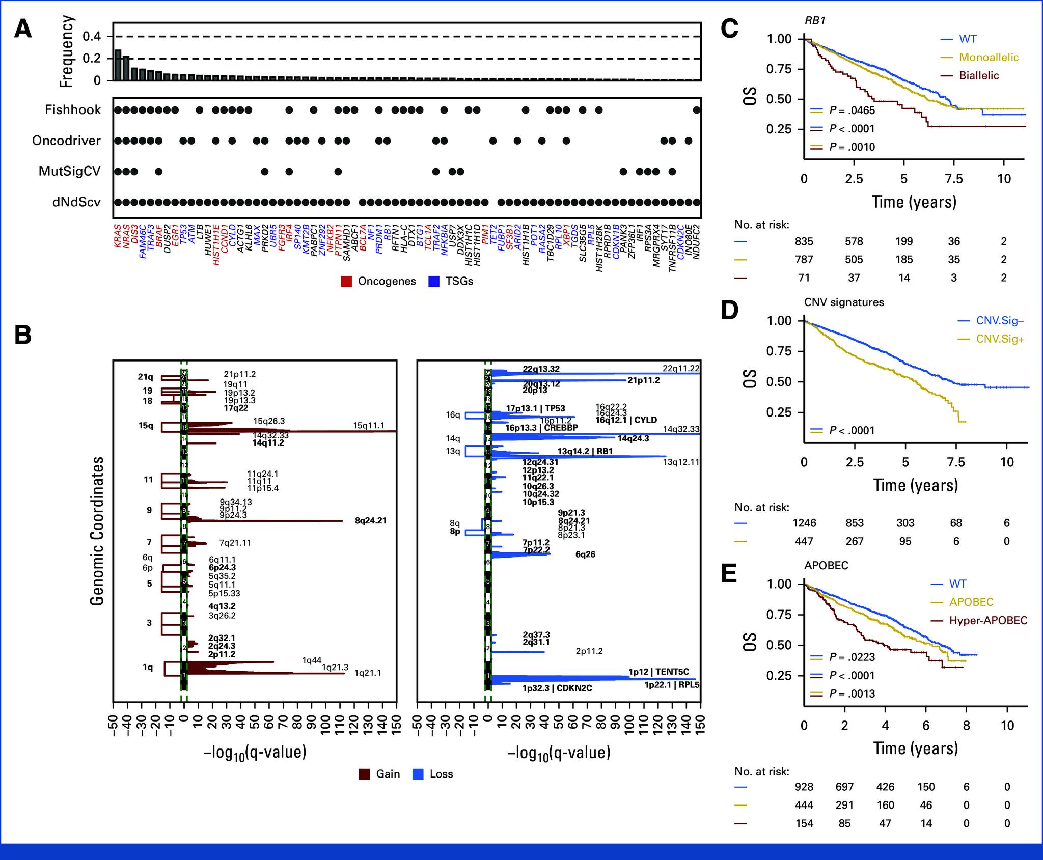 https://cdn.ncbi.nlm.nih.gov/pmc/blobs/c607/11095887/e212b8314c42/jco-42-1229-g001.jpg