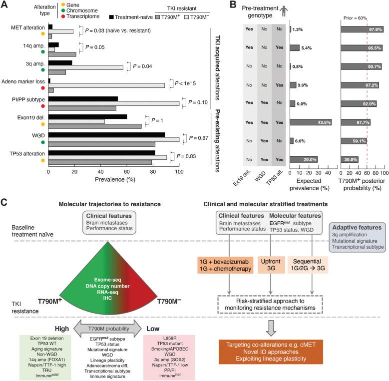 https://cdn.ncbi.nlm.nih.gov/pmc/blobs/c607/9401458/13a3b98a2cc6/5939fig4.jpg