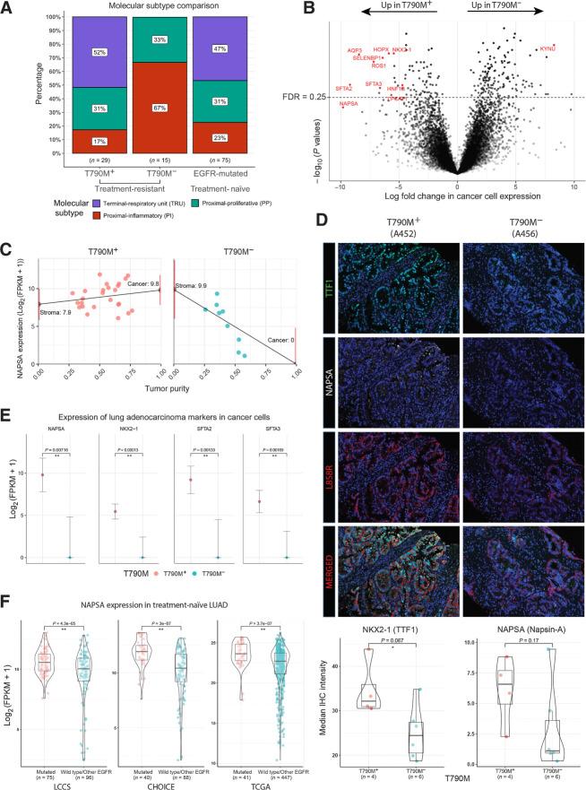 https://cdn.ncbi.nlm.nih.gov/pmc/blobs/c607/9401458/62b9493718b6/5939fig2.jpg