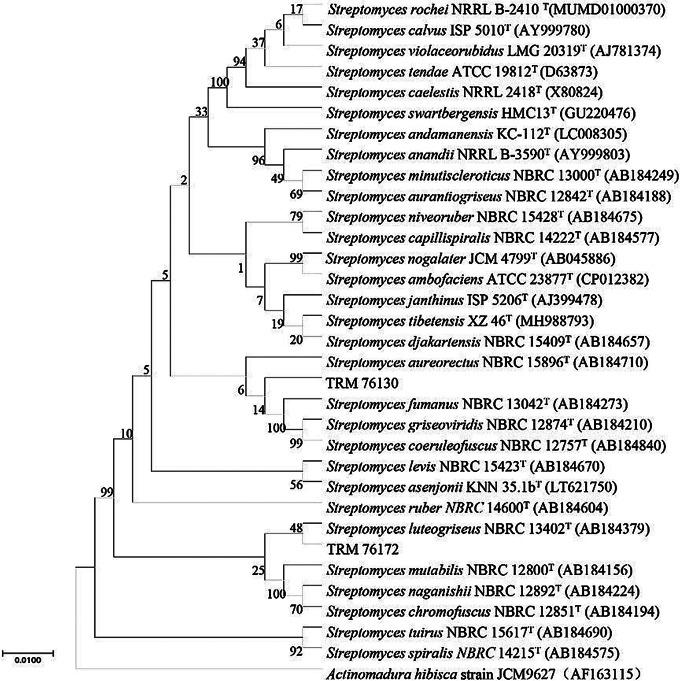 https://cdn.ncbi.nlm.nih.gov/pmc/blobs/c608/11689623/54129489fa39/12866_2024_3609_Fig1_HTML.jpg